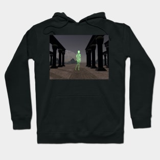 The Virtual Visitor Hoodie